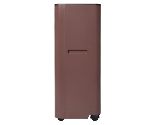 Кондиционер мобильный Ballu Twinkle BPAC-09 DWR/N6 Red
